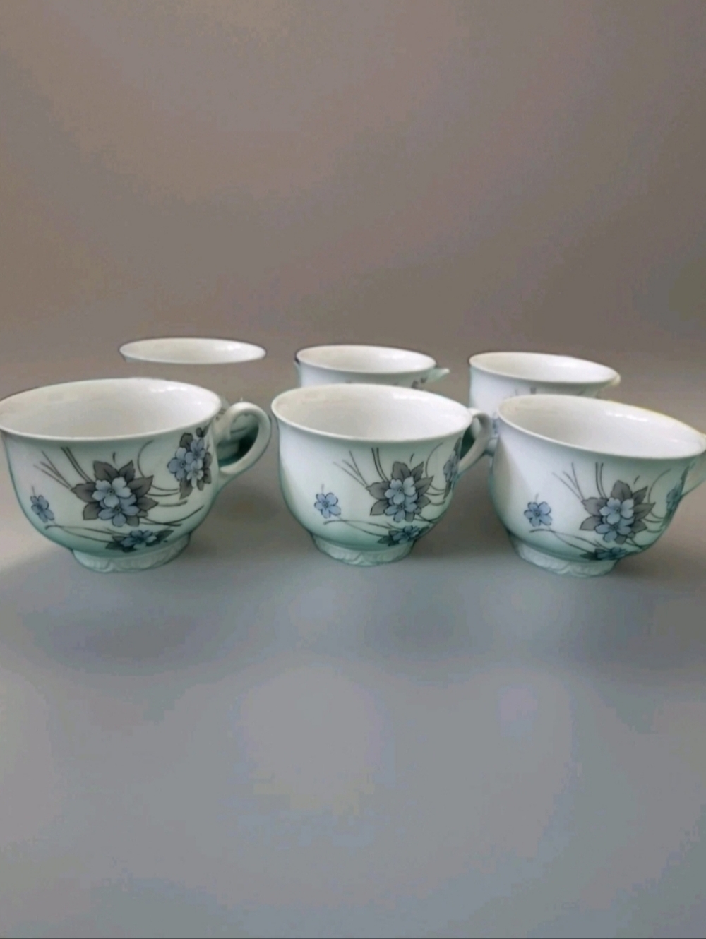 Mitterteich Bavaria Set of 6 Tea Cups Forget-Me-Not Floral Pattern Germany